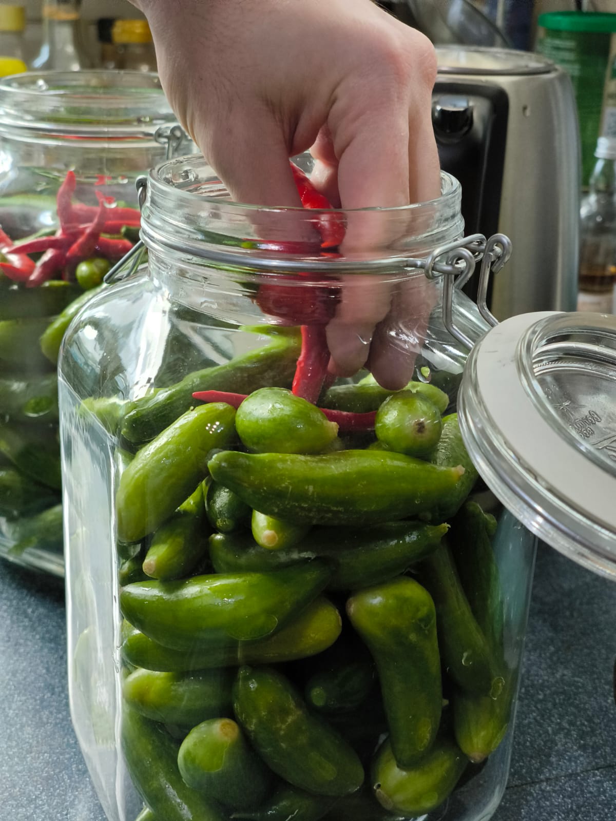 Pickled Cucumbers